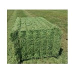 百威啤酒供应商 - 批发24瓶330毫升瓶装啤酒