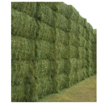Alfalfa Pellets Supplier - Bulk Timothy Hay Animal Feed