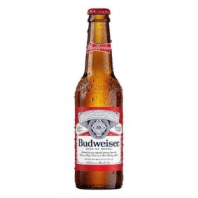 Budweiser Beer Factory - Wholesale 24x33cl Bottled Lager Beer