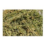Alfalfa Pellets Supplier - Bulk Timothy Hay Animal Feed
