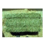 苜蓿草捆生产商 - 批发纯正动物饲料