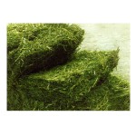 Alfalfa Hay Supplier - Bulk Custom Packaging Animal Feed