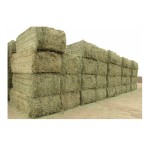 Alfalfa Pellets Supplier - Bulk Timothy Hay Animal Feed