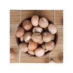 Betel Nut Factory - OEM Custom Wholesale Areca Nut