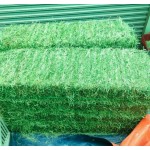 Animal Feed Factory - OEM Custom Alfalfa Hay Bales