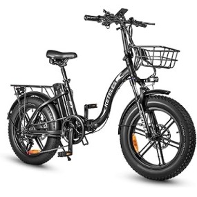 Electric Bike Manufacturer - OEM Custom European Style E-Bike