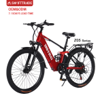 Electric Bike Manufacturer - OEM Custom Mountain Electric Cycle