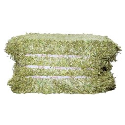Animal Feed Factory - OEM Custom Premium Alfalfa Hay