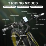 Electric Bike Manufacturer - OEM Custom Mountain Electric Cycle