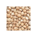 Betel Nut Factory - OEM Custom Wholesale Areca Nut