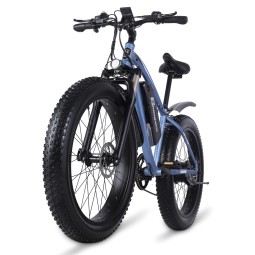 Electric Bike Manufacturer - OEM Custom Foldable Ebike 500W