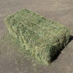 Animal Feed Factory - OEM Custom Feed Grade Alfalfa Hay