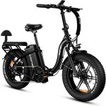 Electric Bike Factory - OEM Custom Electric Mountain Bike