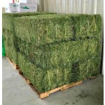 动物饲料工厂 - 可定制优质苜蓿干草