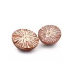 Betel Nut Factory - OEM Custom Wholesale Areca Nut