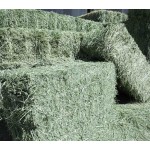 Animal Feed Factory - OEM Custom Alfalfa Hay Bales