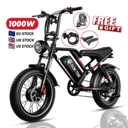 Electric Bike Manufacturer - OEM Custom Mountain Electric Cycle