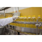 葵花籽油工厂 - 可定制烹饪油批发