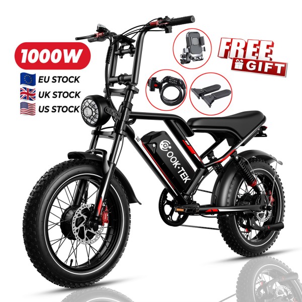 Electric Bike Manufacturer - OEM Custom 1000W Dirt E-Bike