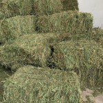 Animal Feed Factory - OEM Custom Feed Grade Alfalfa Hay