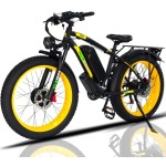 电动自行车工厂 - 可定制电动山地自行车