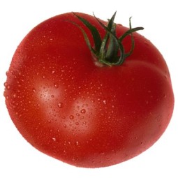 Vegetables Manufacturer - OEM Custom Natural Red Tomato