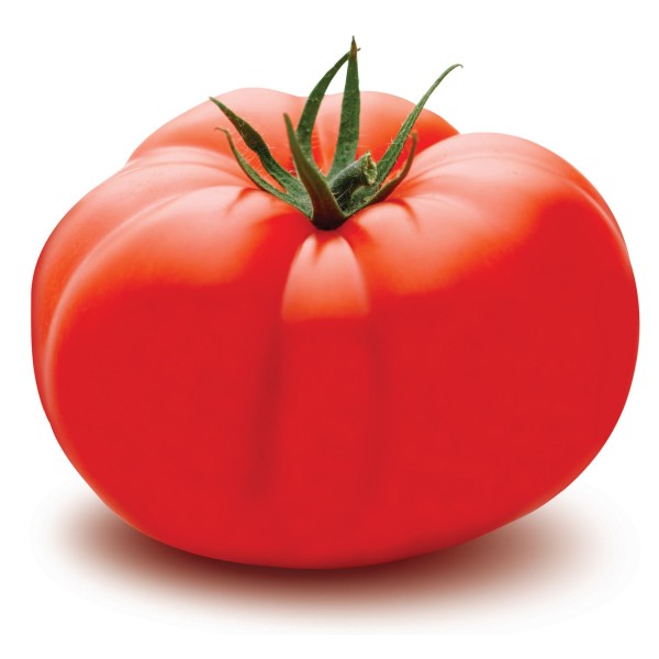 蔬菜工厂 - 可定制有机红番茄
