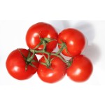 蔬菜生产商 - 可定制批量新鲜番茄