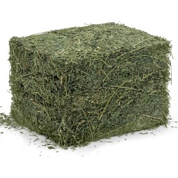 Animal Feed Factory - OEM Custom Alfalfa Hay Bales