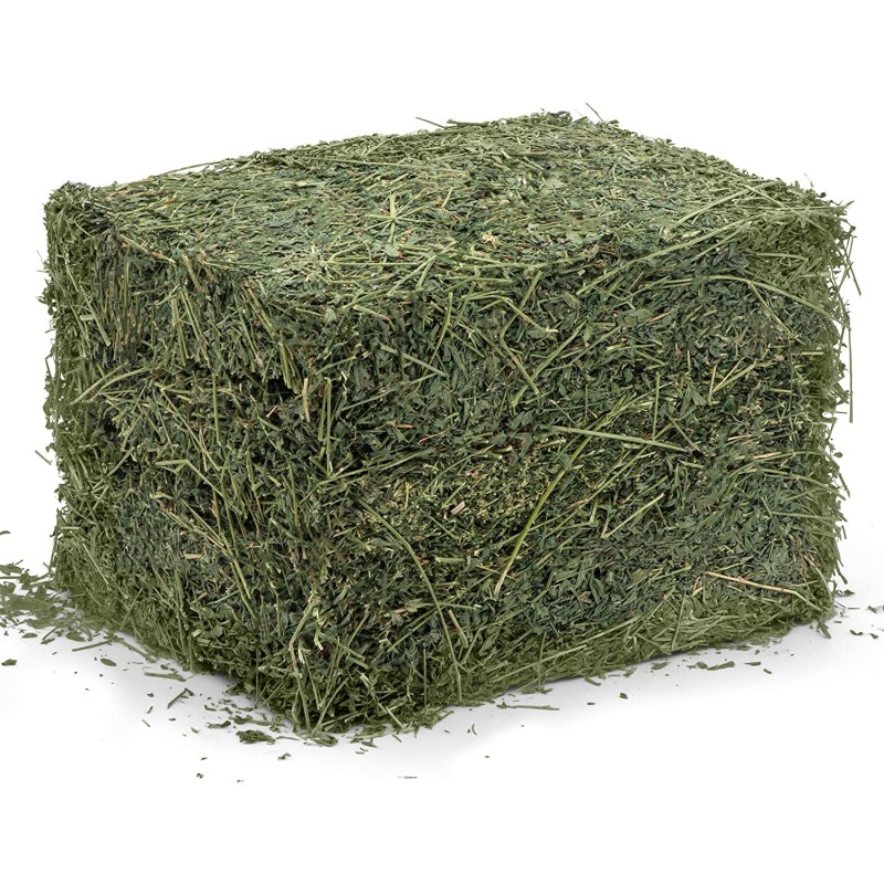 Animal Feed Factory - OEM Custom Alfalfa Hay Bales