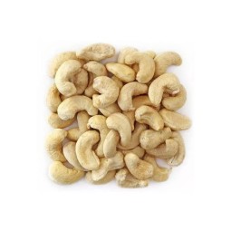 Cashew Nuts Factory - OEM Custom Roasted Shelled Cashews