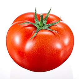 Vegetables Manufacturer - OEM Custom Bulk Fresh Tomatoes