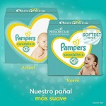 Baby Diaper Supplier - Pampers Swaddlers Size 1 164ct