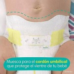 Baby Diaper Supplier - Pampers Swaddlers Size 1 164ct