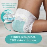 纸尿裤供应商 - 帮宝适Swaddlers 4号66片