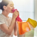 Washing Liquid Factory - Colour HD-4L 28 Washes 3x1.33L