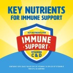 奶昔饮料工厂 - 康乃馨水果蛋白8盎司