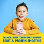 奶昔饮料工厂 - 康乃馨水果蛋白8盎司