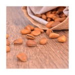 Pecan Nuts Factory - Wholesale Organic Raw Pecan Nuts