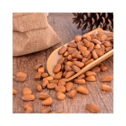 Pecan Nuts Factory - Wholesale Organic Raw Pecan Nuts