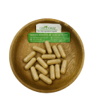 Private Label Wholesale Tongkat Ali Root Extract Supplements Tongkat Ali Powder 500mg Tongkat Ali Capsules