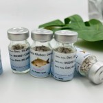 Top Grade Fish Breeding Extract CCP CPG Common Carp Pituitary Gland