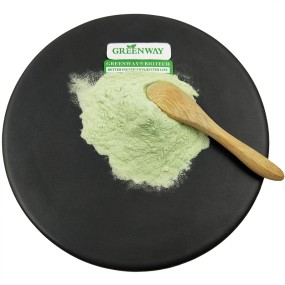 Factory Supply Reducing Agent Water Soluble CAS 7720-78-7 Ferrous Sulphate Powder