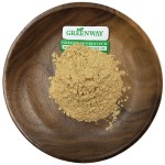 Food Supplement Plant Extract Pure Ajuga Turkestanica 2% 10% 10:1 Turkesterone Powder