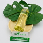 Supply Plant Extract Clove Extract 5-Allylguaiacol/Eugenol Essential Oil