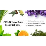 Top Quality Extra Virgin Olive Oil 100% Pure Natural Olive Oil