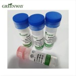 Cosmetic Peptide 147732-56-7 Palmitoyl Tripeptide-1 Powder