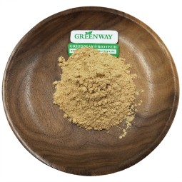 Supply Polysaccharide 30% Tricholoma Matsutake Mushroom Extract
