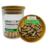 OEM Supplement Private Label Natural Ajuga Turkestanica Extract Turkesterone Powder 500mg Pure Turkesterone Capsules