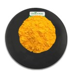 Nutrition Supplement Skin Bulk COQ10 Coenzyme Q10 Powder for Antioxidant